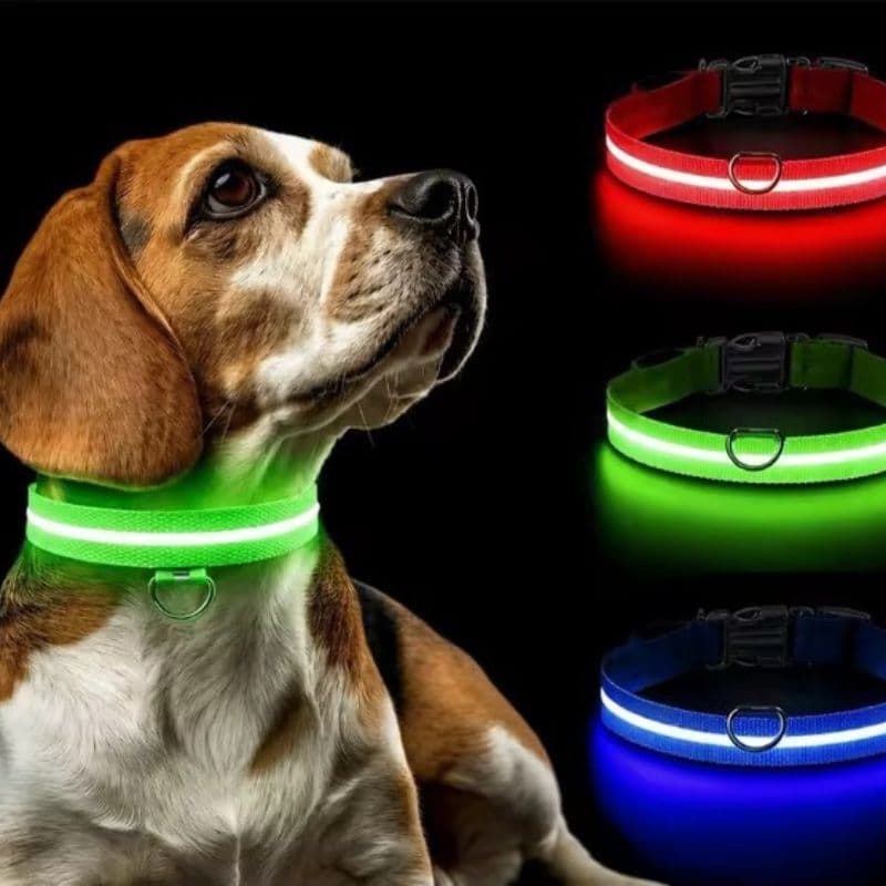Obroza dla Psa Led Color