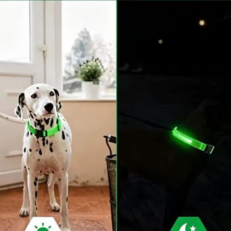 Obroza dla Psa Led Color