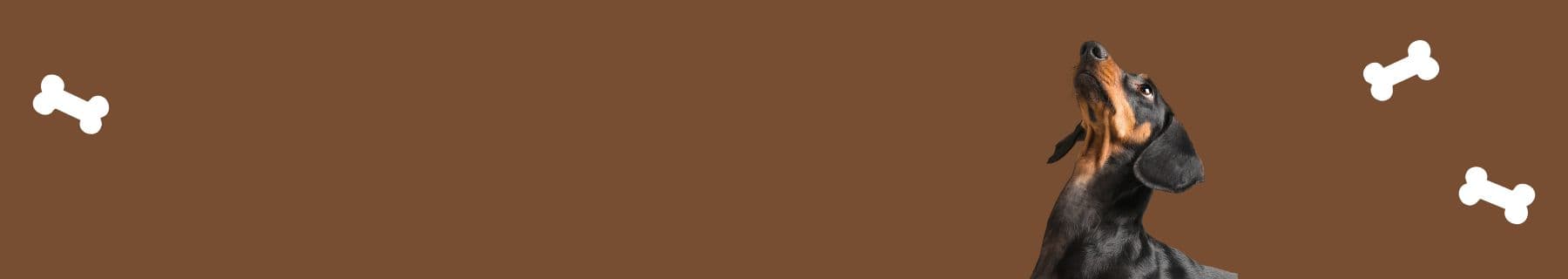 Banner background