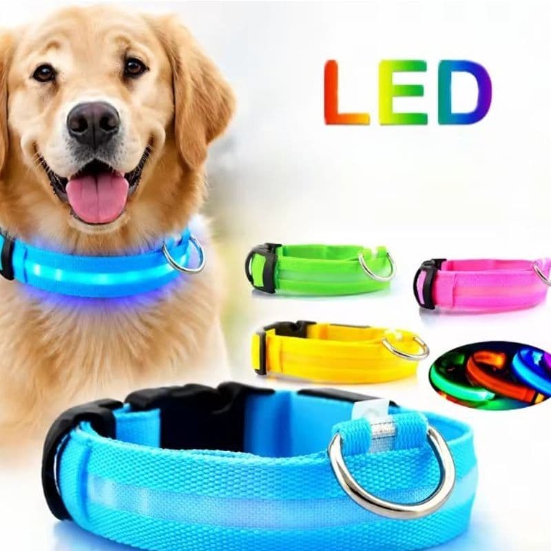 ŚWIECĄCA OBROŻA LED COLOR DLA PSA – ZADBJ O WIDOCZNOŚĆ I BEZPIECZEŃSTWO SWOJEGO PUPILA!